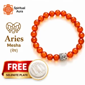 Aries (Mesh Rashi) Bracelet - Carnelian Beads with Charm