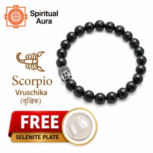 Scorpio Obsidian Bracelet with Charm