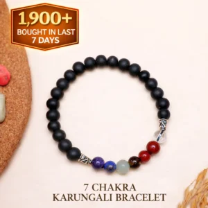 Karungali Seven Chakra Bracelet