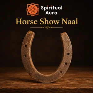 Horse Show Naal