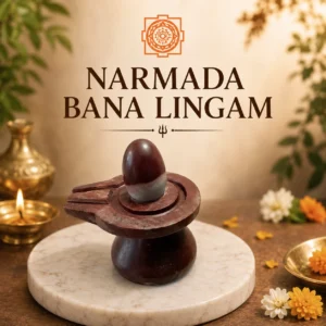 Narmada Bana Lingam